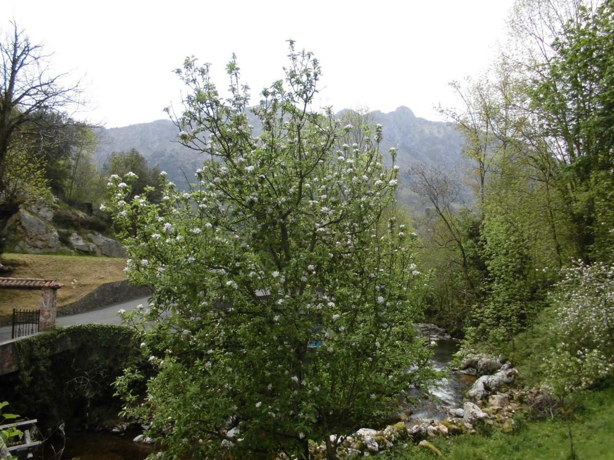 El Molino Hotel Arenas De Cabrales Buitenkant foto