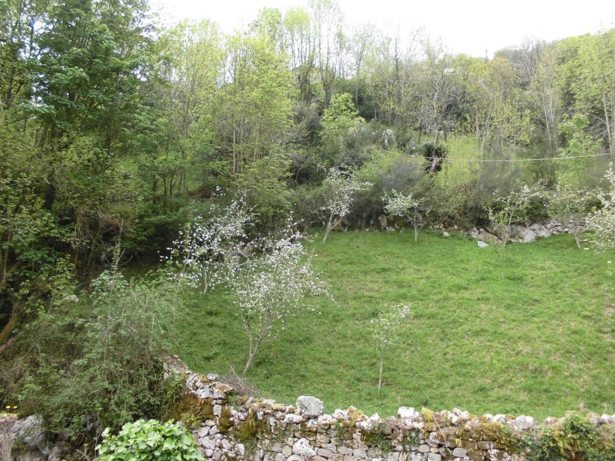 El Molino Hotel Arenas De Cabrales Buitenkant foto